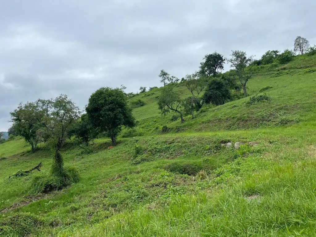 Lote La Hoyada de Castellanos