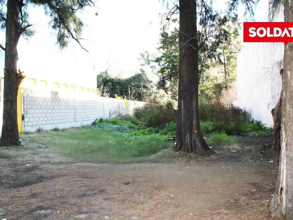 Terreno Comercial frente a Palmas de Pilar, La Lonja