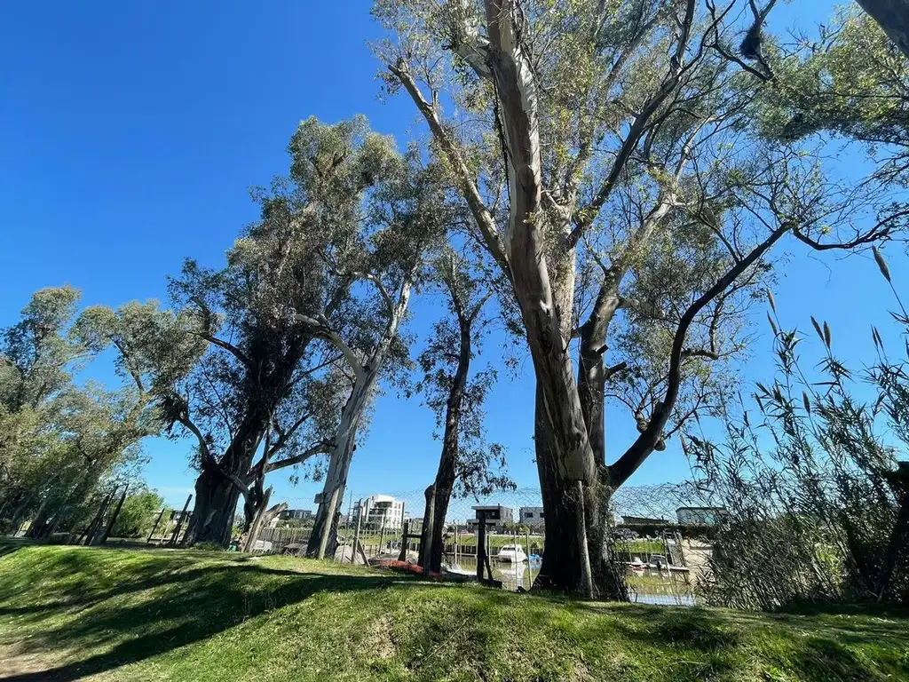 Venta Lote Terreno en Dique Lujan, Villa la Ñata