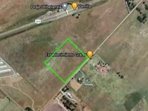 REBAJADO CAMPO 4,30 HA. – URIBELARREA - A MTS. PEAJE RN 205