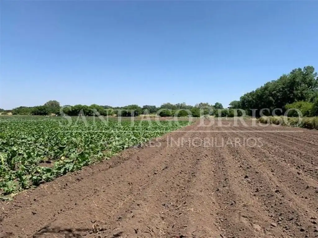 Terreno Campo  en Venta ubicado en Parada Robles, Exaltación de la Cruz, G.B.A. Zona Norte