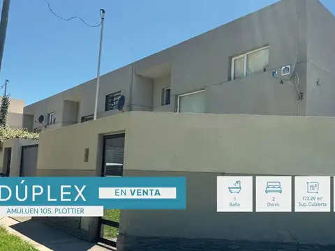 VENTA DÚPLEX 2 DORMITORIOS, AMULUEN 105, PLOTTIER