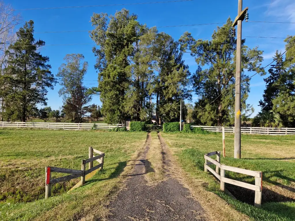 VENTA CAMPO CHASCOMÚS, APROB. PARA CLUB DE CAMPO