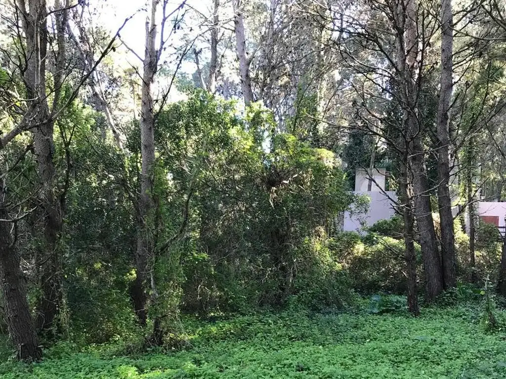 Terreno en esquina en Mar Azul