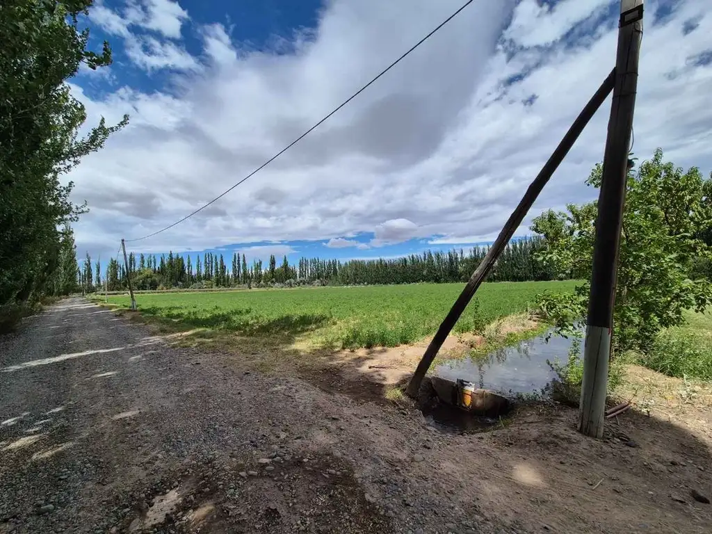 VENTA CHACRA 5 HECTAREAS CON ALFALFA