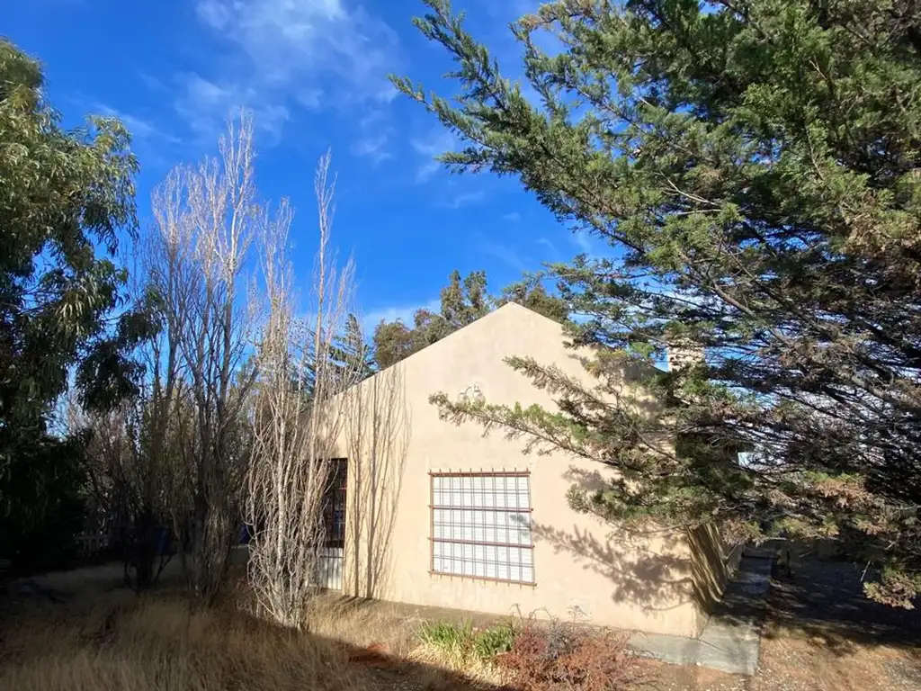 TERRENO 2500 M2, CON QUINCHO -  CORDON FORESTAL