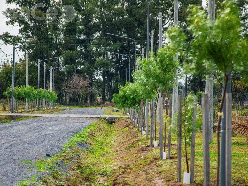 Terreno en  ECOVIDA - VILLA AMELIA