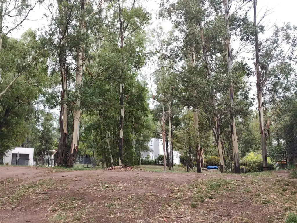 Terreno en  venta en Villa maria barrio privado La negrita