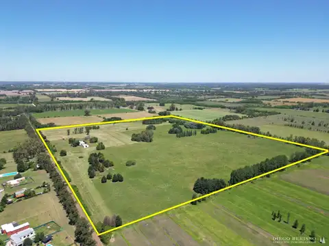 Campo en venta de 28ha ubicado en Manzanares