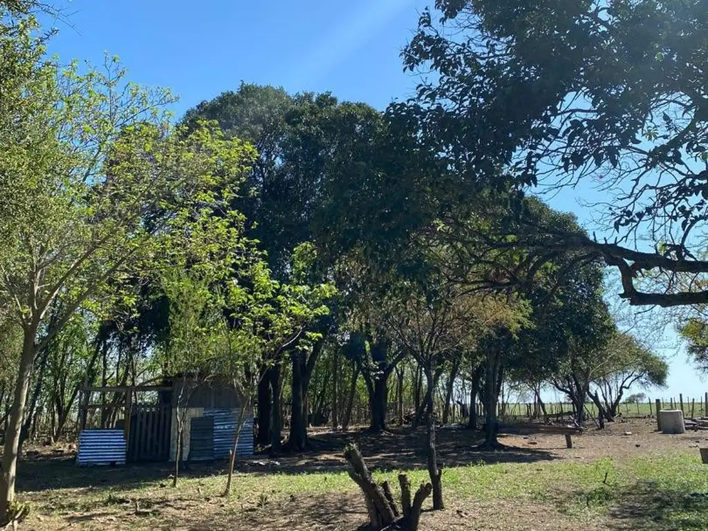 Chacra en zona Gualeguaychú