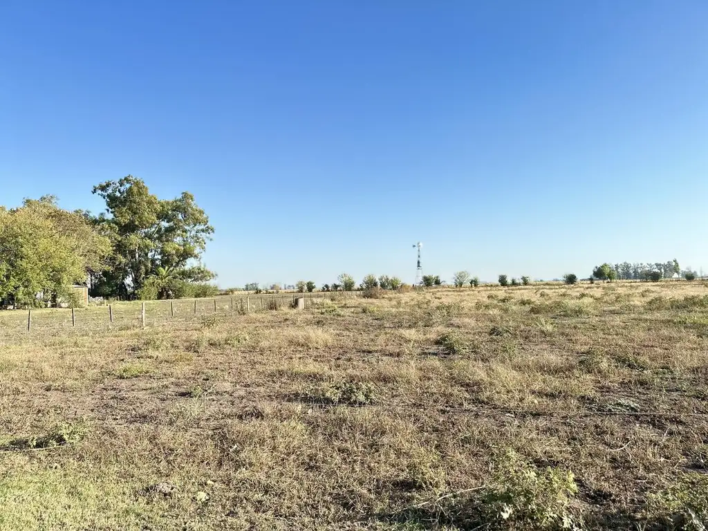 Campo en Lobos