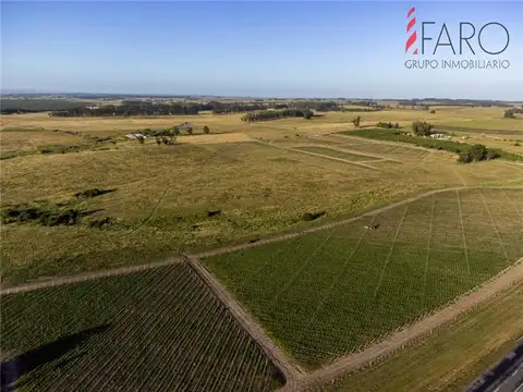 PROPIEDADES RURALES - CHACRA - JOSÉ IGNACIO