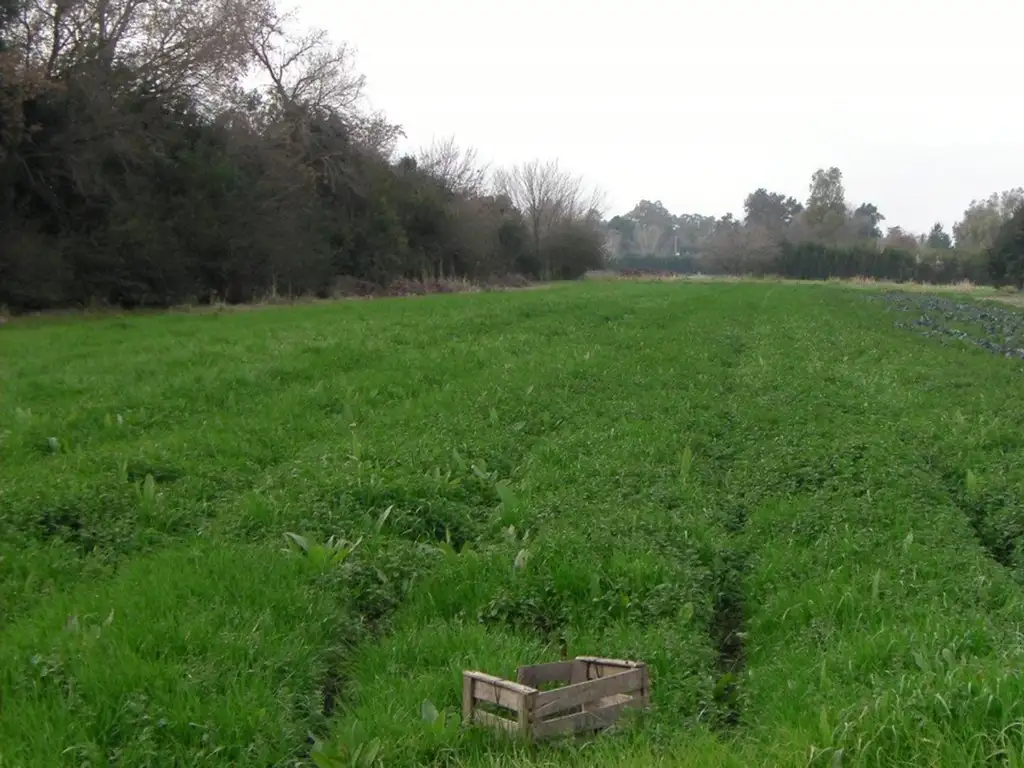 Terreno de 3 hectáreas