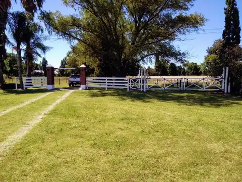 Haras en venta de 6 ha sobre ruta 5, km 309, Carlos Casares - Foto 0