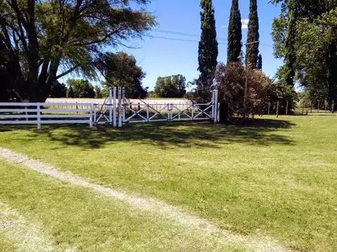 Campo en Venta en Carlos Casares - 4 ambientes