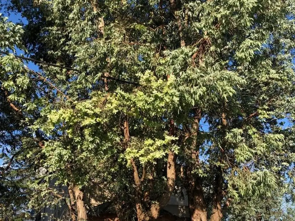 CASA EN LOS CARDALES