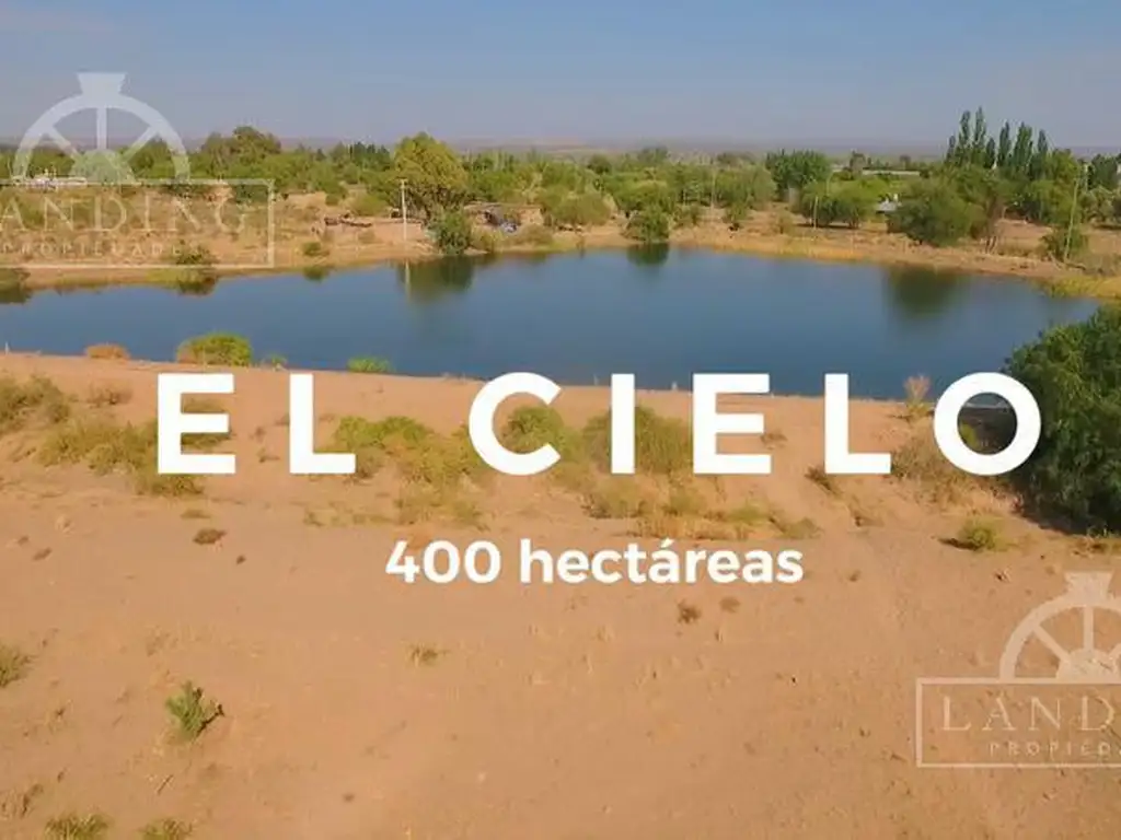 Campo en Venta - Finca Productiva en Mendoza