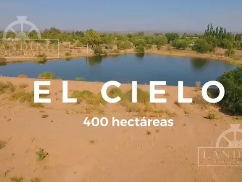 Campo en Venta - Finca Productiva en Mendoza