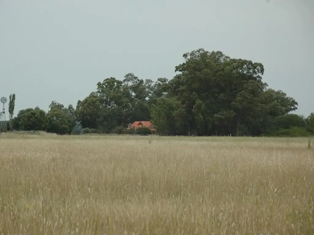 Casa Campo  en Venta en Las Flores, Resto de la Provincia, Buenos Aires