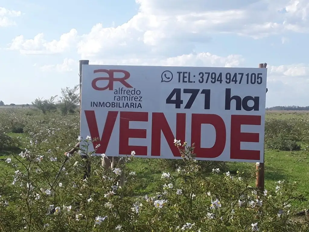 VENDO CAMPO MIXTO 471 ha