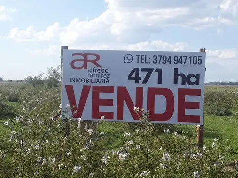 VENDO CAMPO MIXTO 471 ha