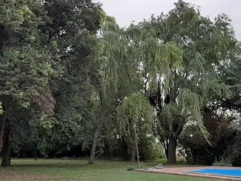 Campo de 30 hectáreas en Pergamino