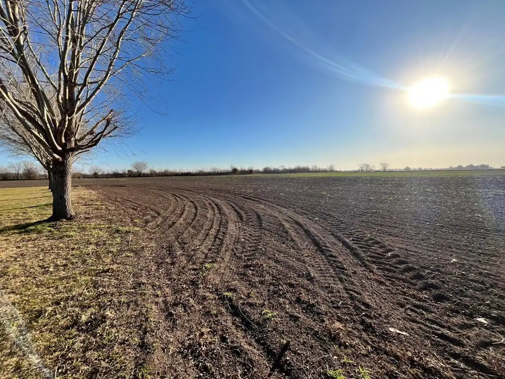 CAMPO A LA VENTA EN CHACABUCO