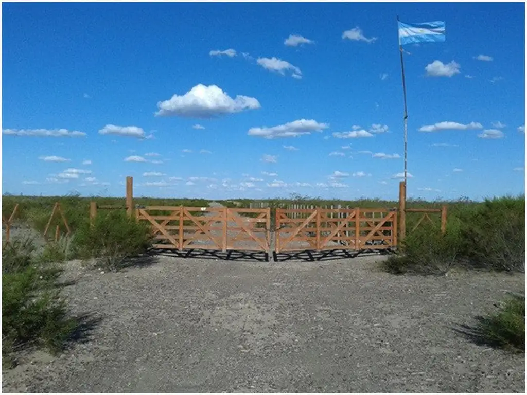 Vendo campo ganadero de 5000has en Curacó, La Pampa