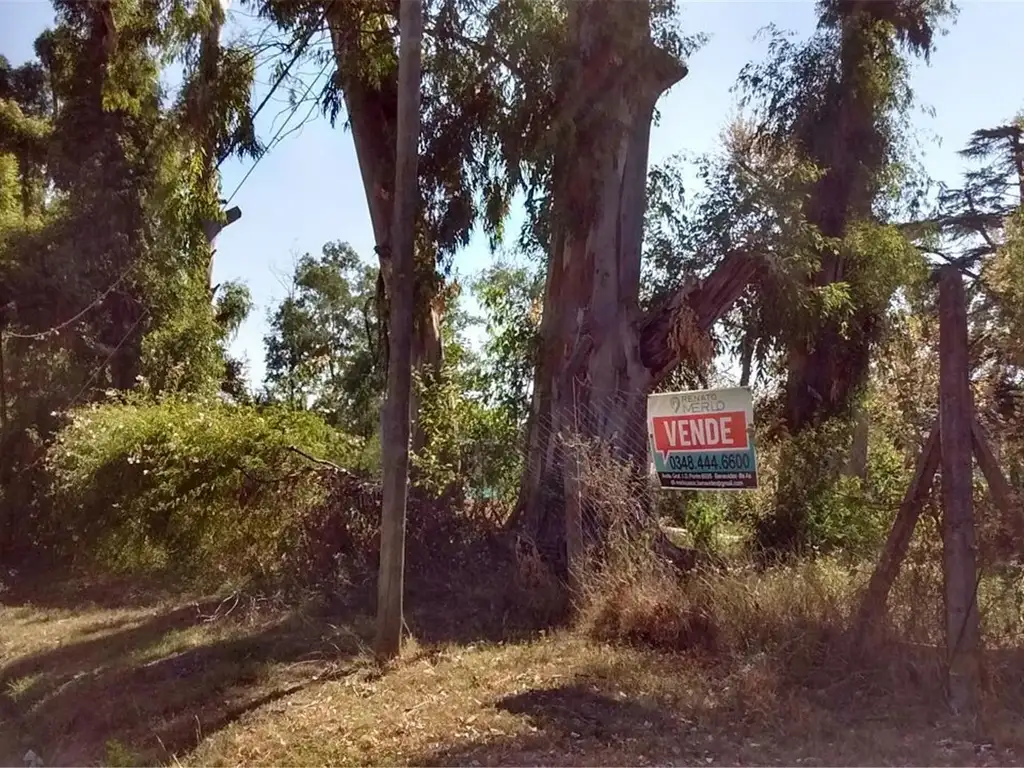 Añosa Arboleda