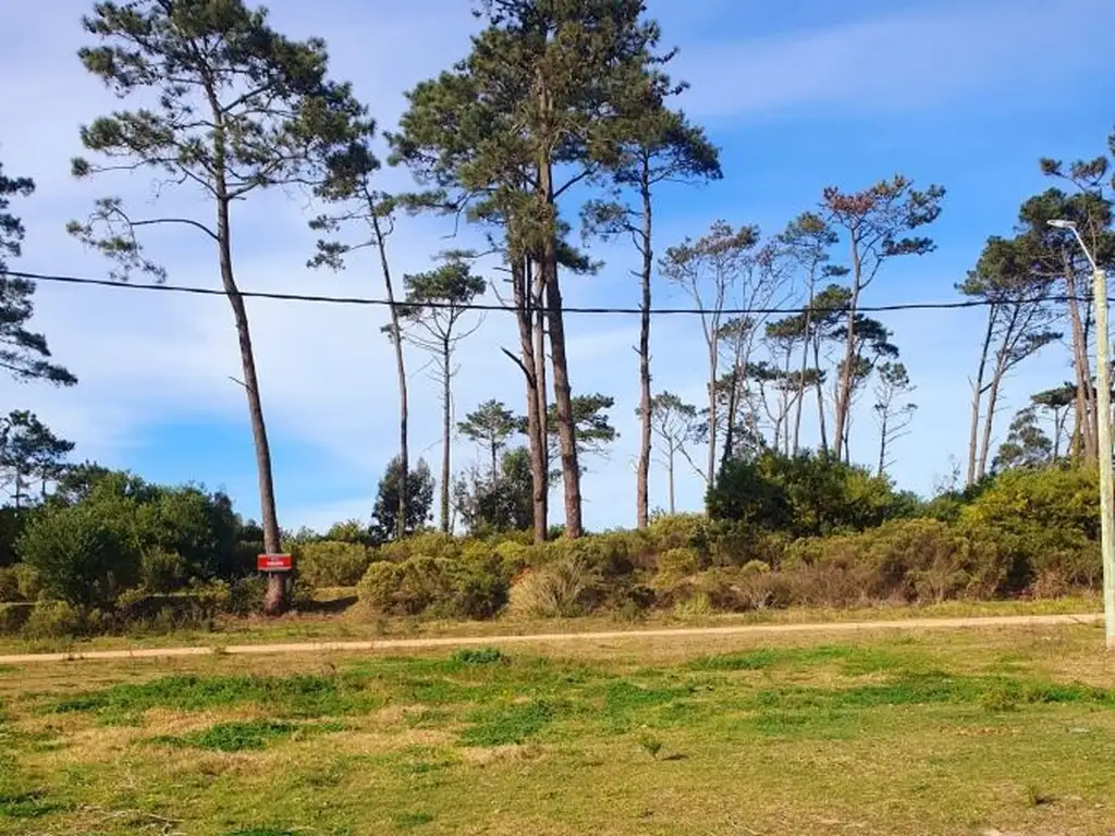 Oportunidad  Venta de Terreno frente al Club de Golf de Punta del Este.