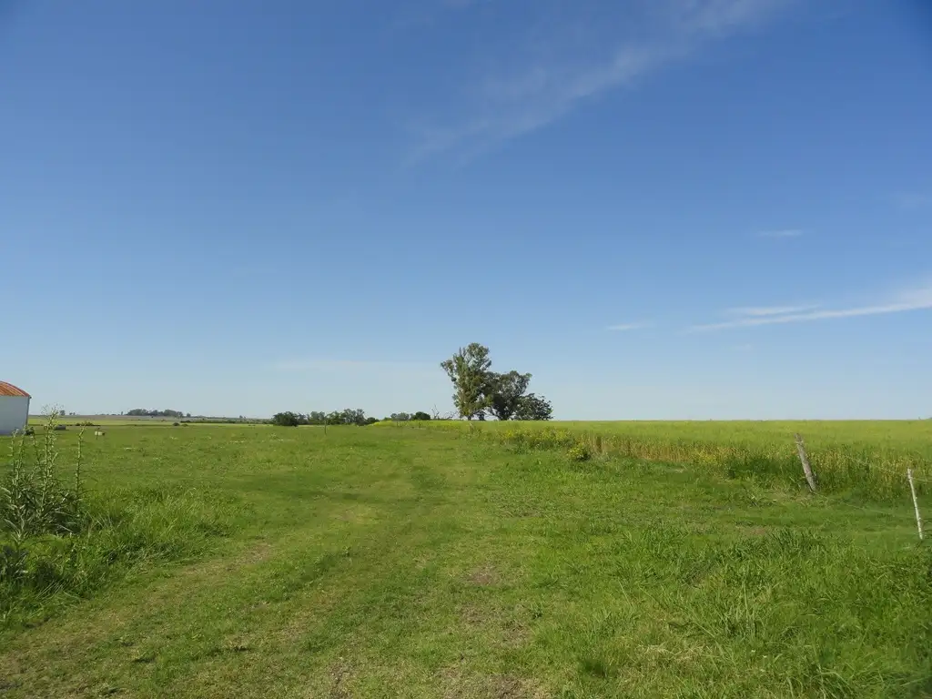 Campo en El Potrero sobre ripio