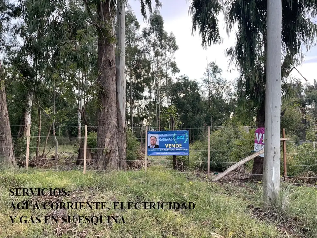 Lotes en la Elena Tandil