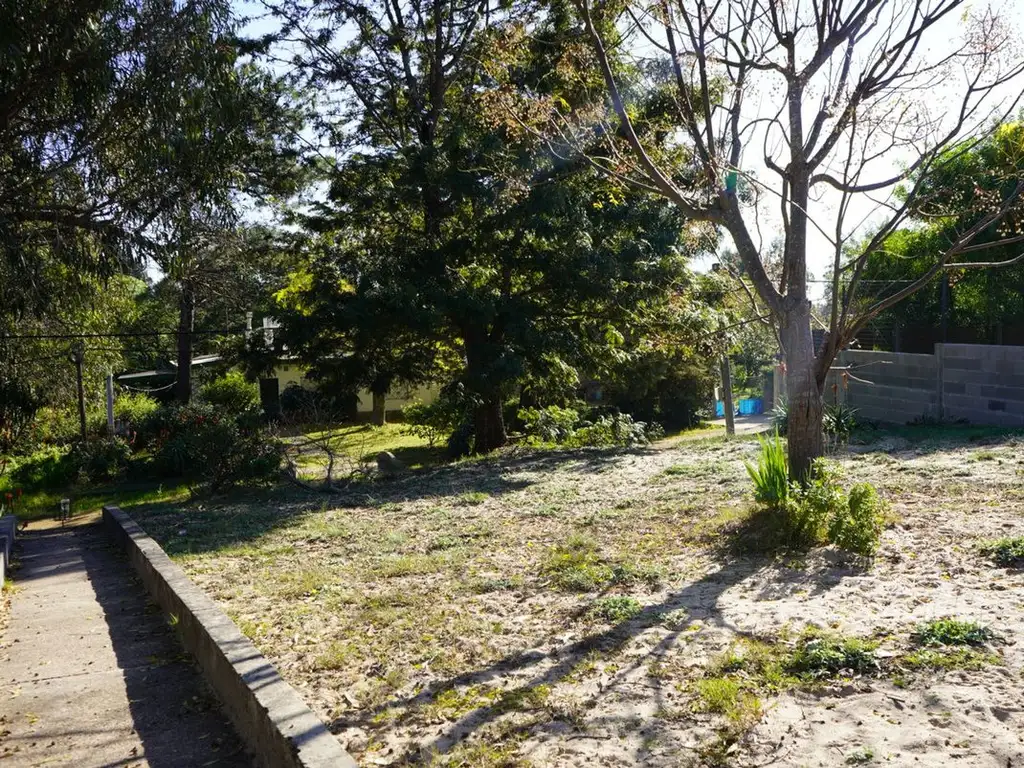 Venta casa con amplio terreno ubicado en Araminda