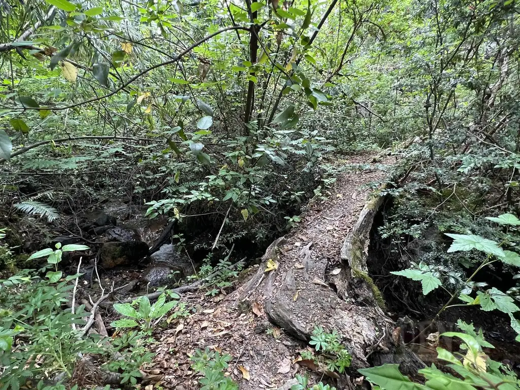 Terreno en Villa La Angostura