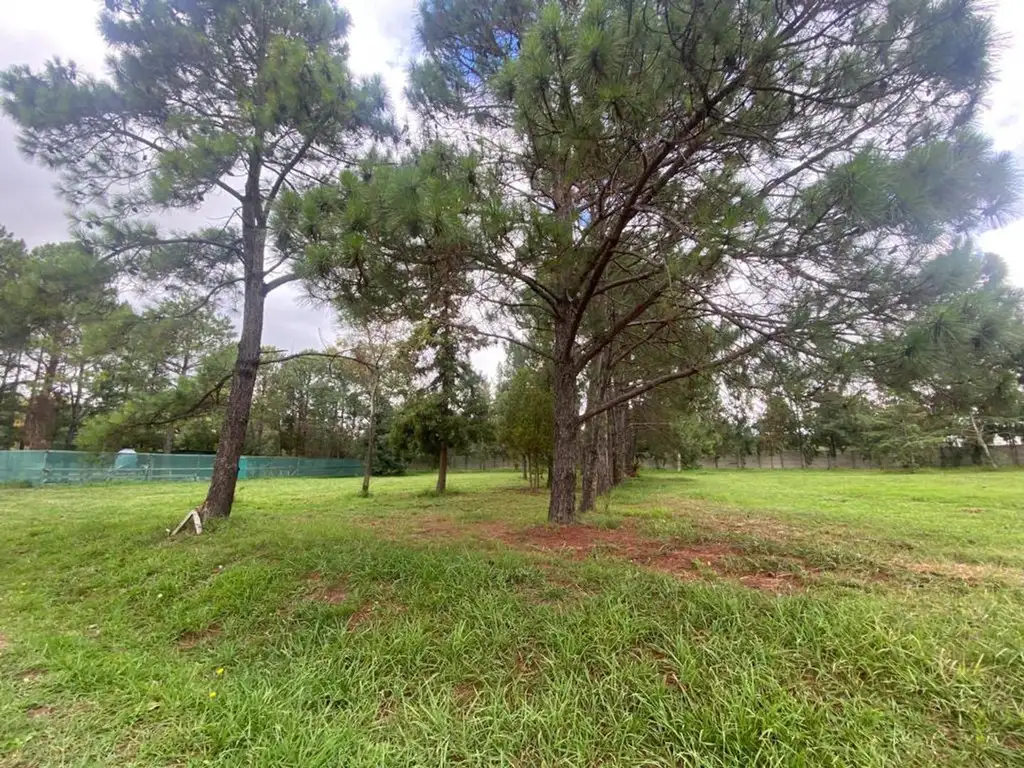 Terreno Venta, 1048m2, monoambiente, Calle 152, Greenville Polo