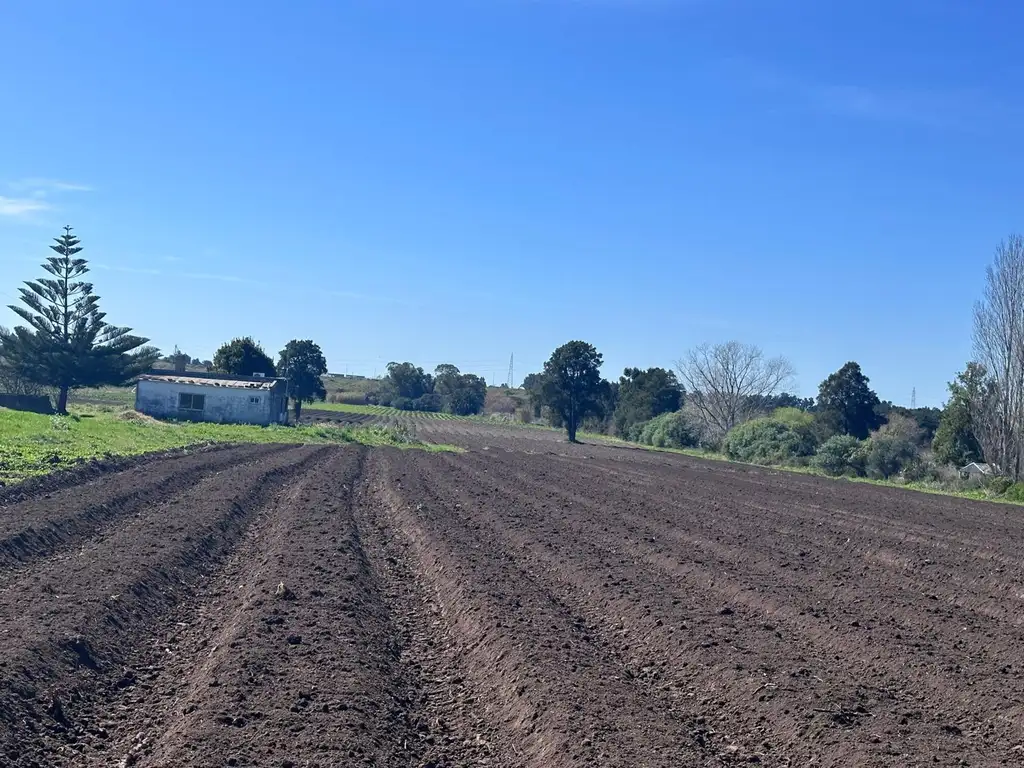 Venta de Chacra de 11 hectáreas Montevideo rural