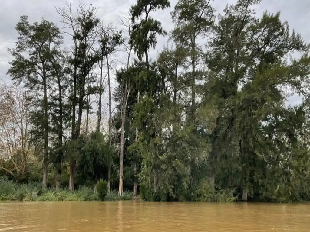 VENTA Lote frente al Rio Paraná en San Fernando