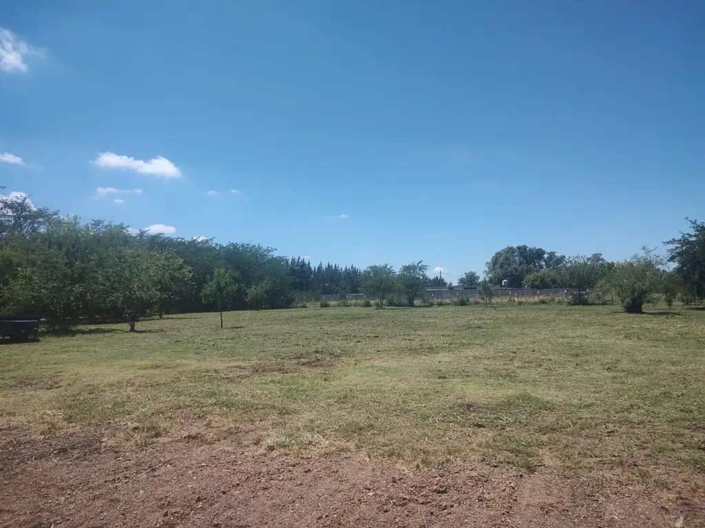 Terreno en venta - 558Mts2 - Cañuelas