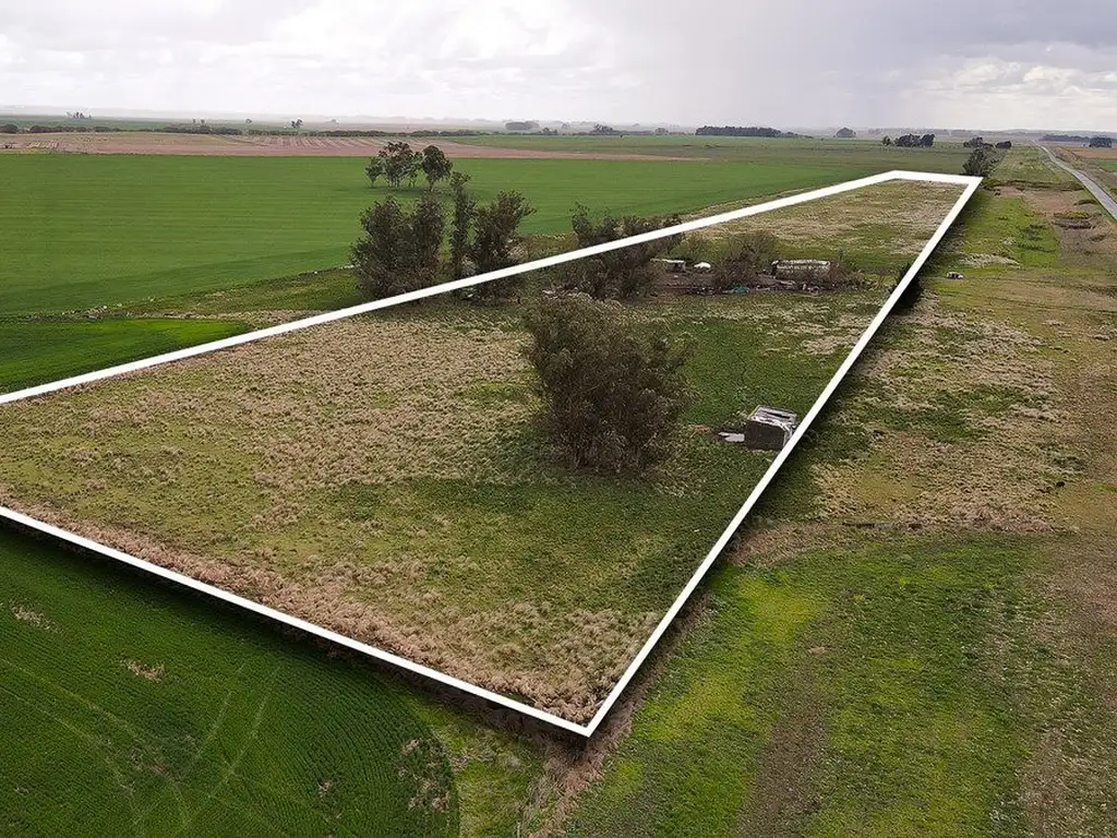 8  HECTAREAS DE CAMPO LOBERIA  BUENOS AIRES