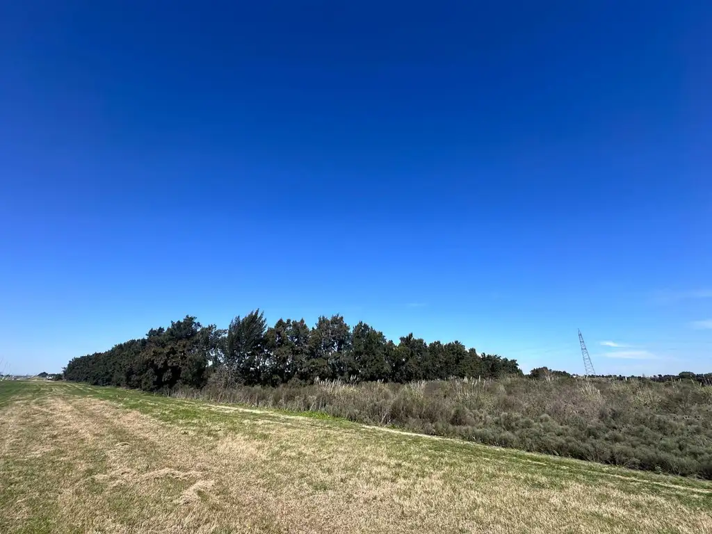 Venta campo en Ruta 1 Kilometro 16