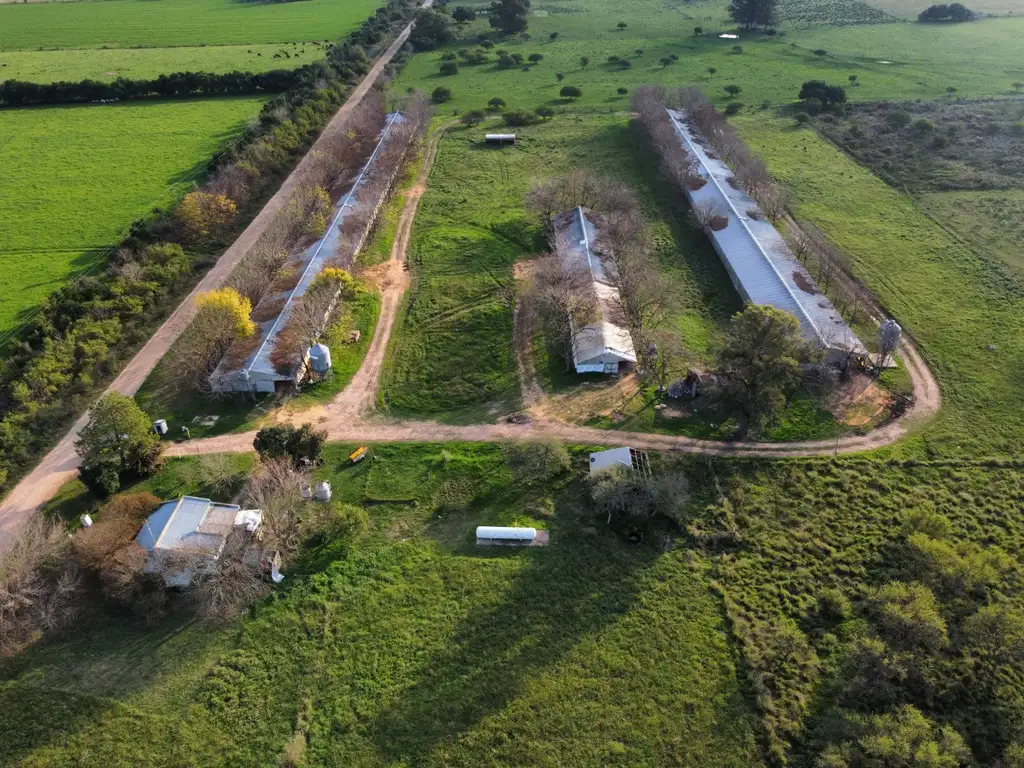 Granja avícola en venta en Dpto. Colón ER