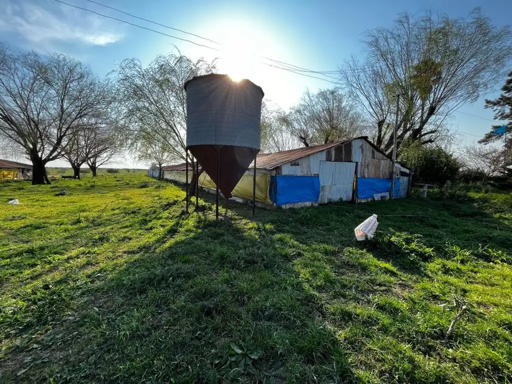 Vendo Campo de 3,5 Has con granja en Pronunciamiento, Entre Ríos.