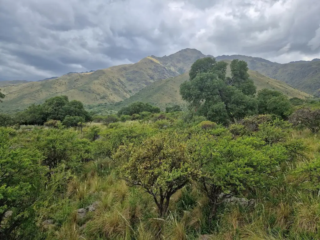 Campo en  venta en San Javier, 5 Hectareas, Traslasierra