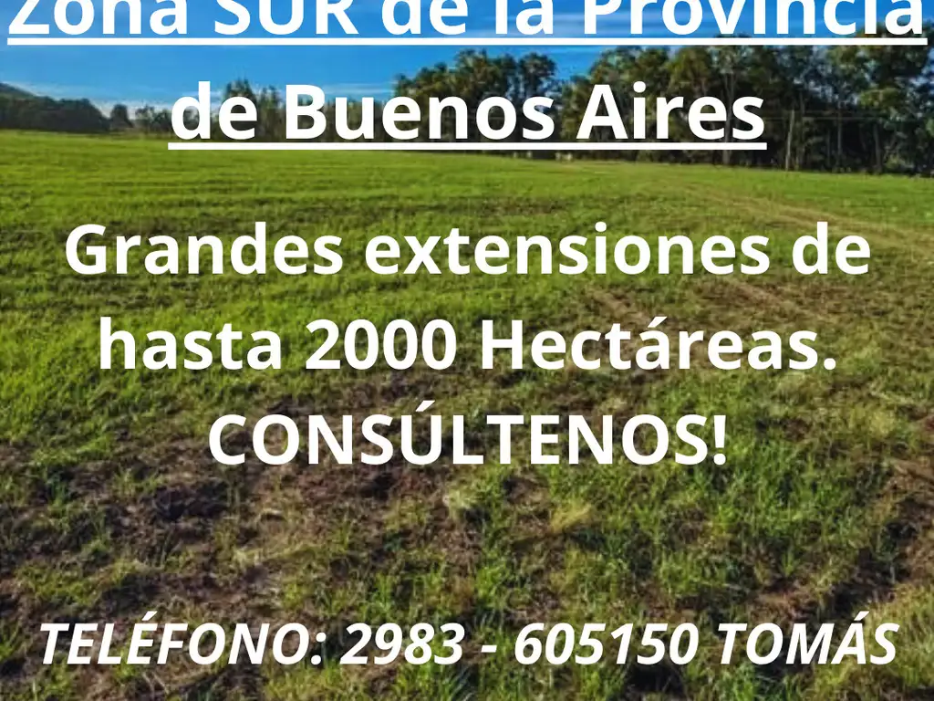 CAMPOS EN VENTA: ZONA SUR DE LA PROVINCIA DE BUENOS AIRES