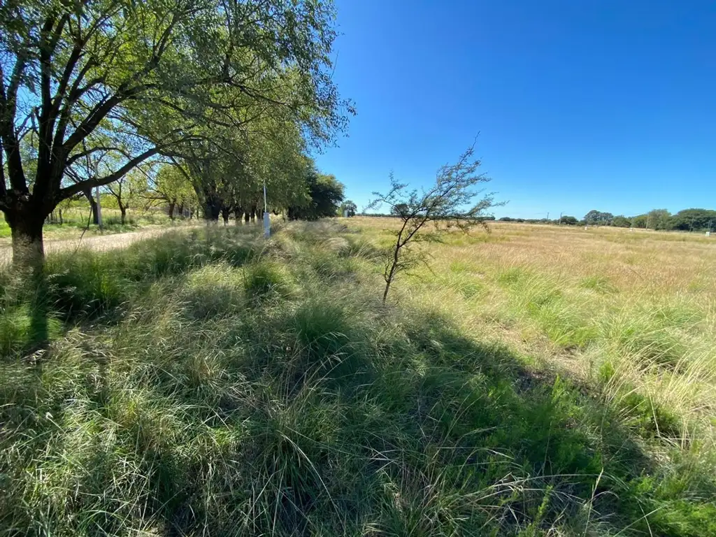 Loteo " Don Adolfo", Ataliva Roca, La Pampa