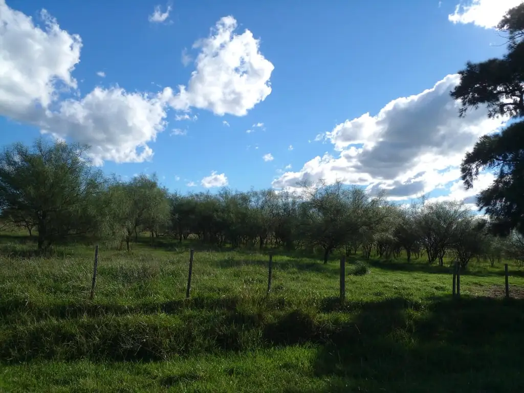 Vendo. 2 has en Cañuelas, estan ubicadas en la ruta 16.  A 9 km de la ruta 215