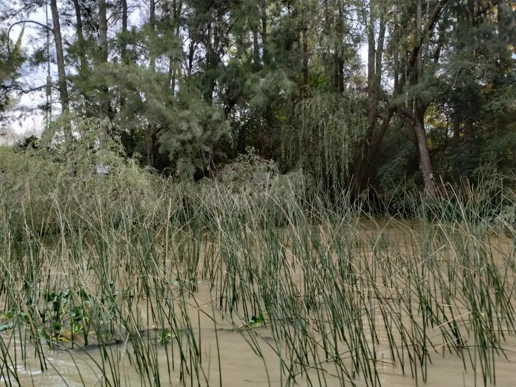 Terreno Lote  en Venta en Caraguatá, Zona Delta, Tigre