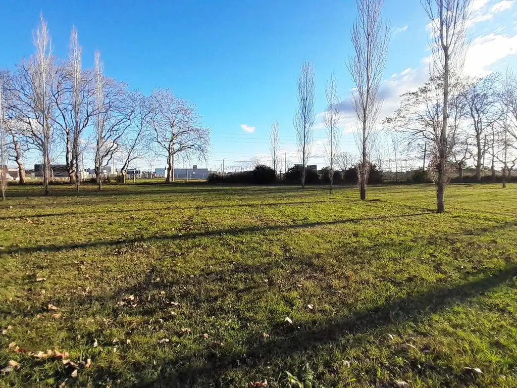 Terreno  de 1586 m2 en Barrio Cerrado Lomas de Petion - Alejandro Petion