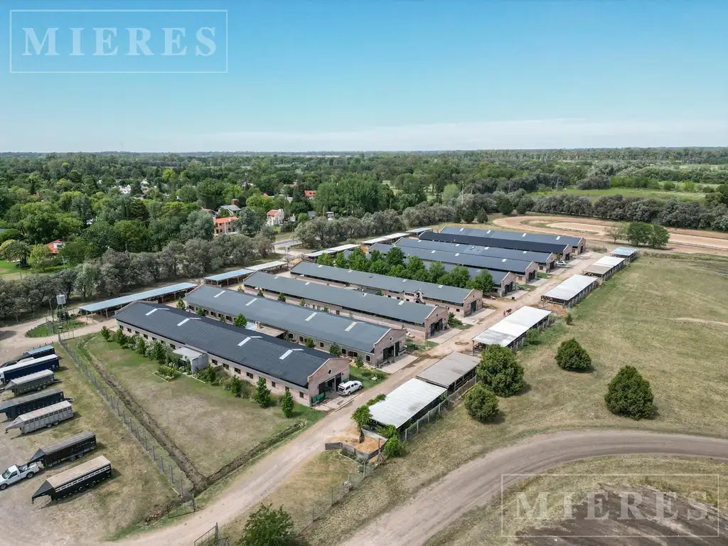 Lote de 855m² en venta en Tilbury, Pilará