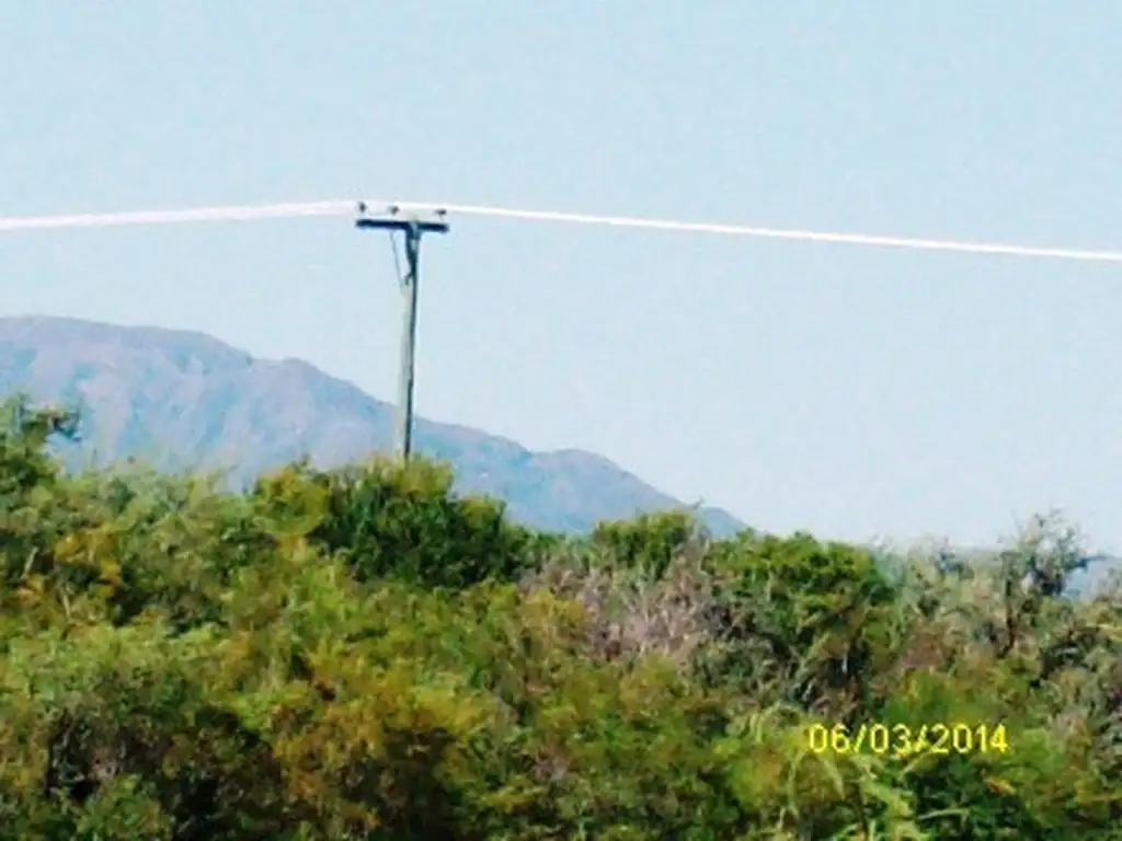 Chacra de 8 hectareas  Excelente No la pierda